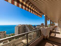 TRIPLEX AVEC PISCINE PRIVEE - Location d'appartements à Monaco
