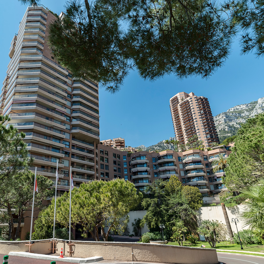 SPACIEUX STUDIO EN LOFT D'ENVIRON 84 M2 JOUISSANT D'UNE VUE VERDURE - A VOIR - Location d'appartements à Monaco