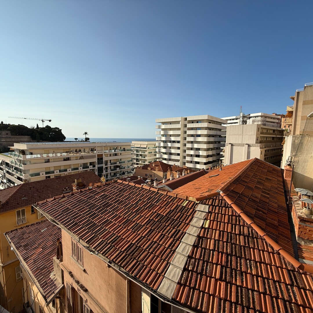 Grand studio lumineux au calme - Location d'appartements à Monaco
