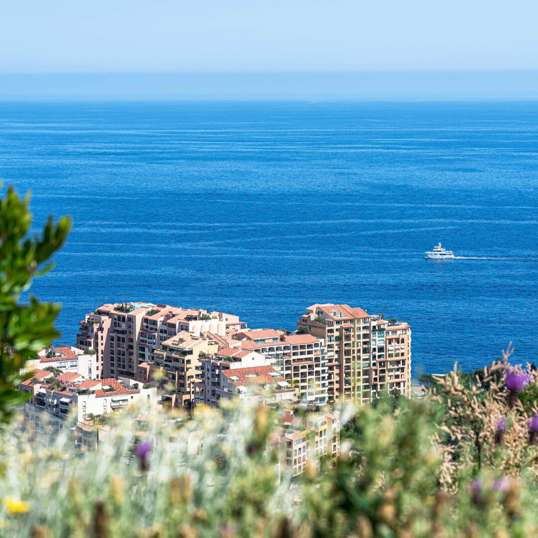 L''EXOTIQUE - Location d'appartements à Monaco