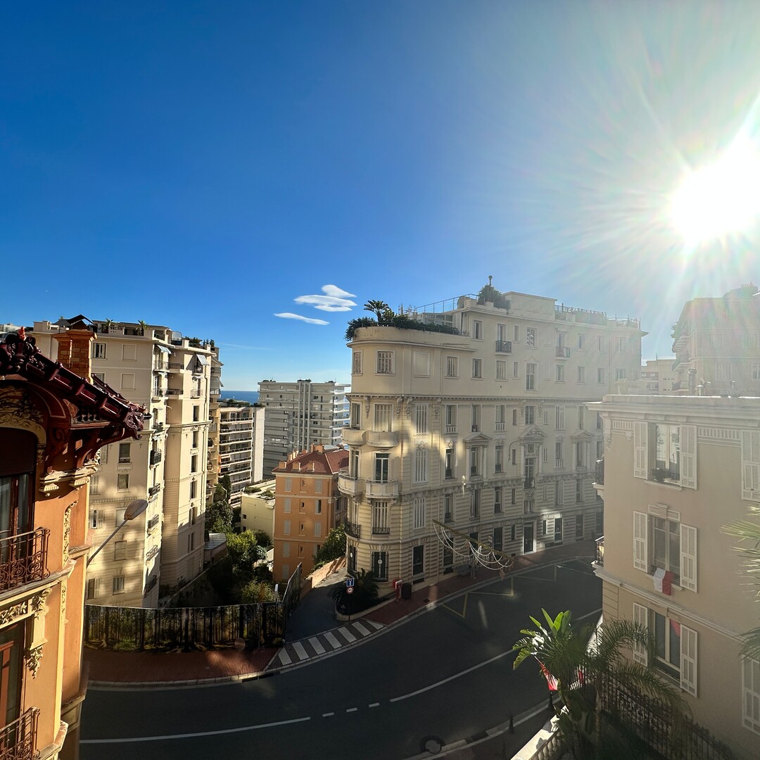 Magnifique Duplex avec toit terrasse - Location d'appartements à Monaco
