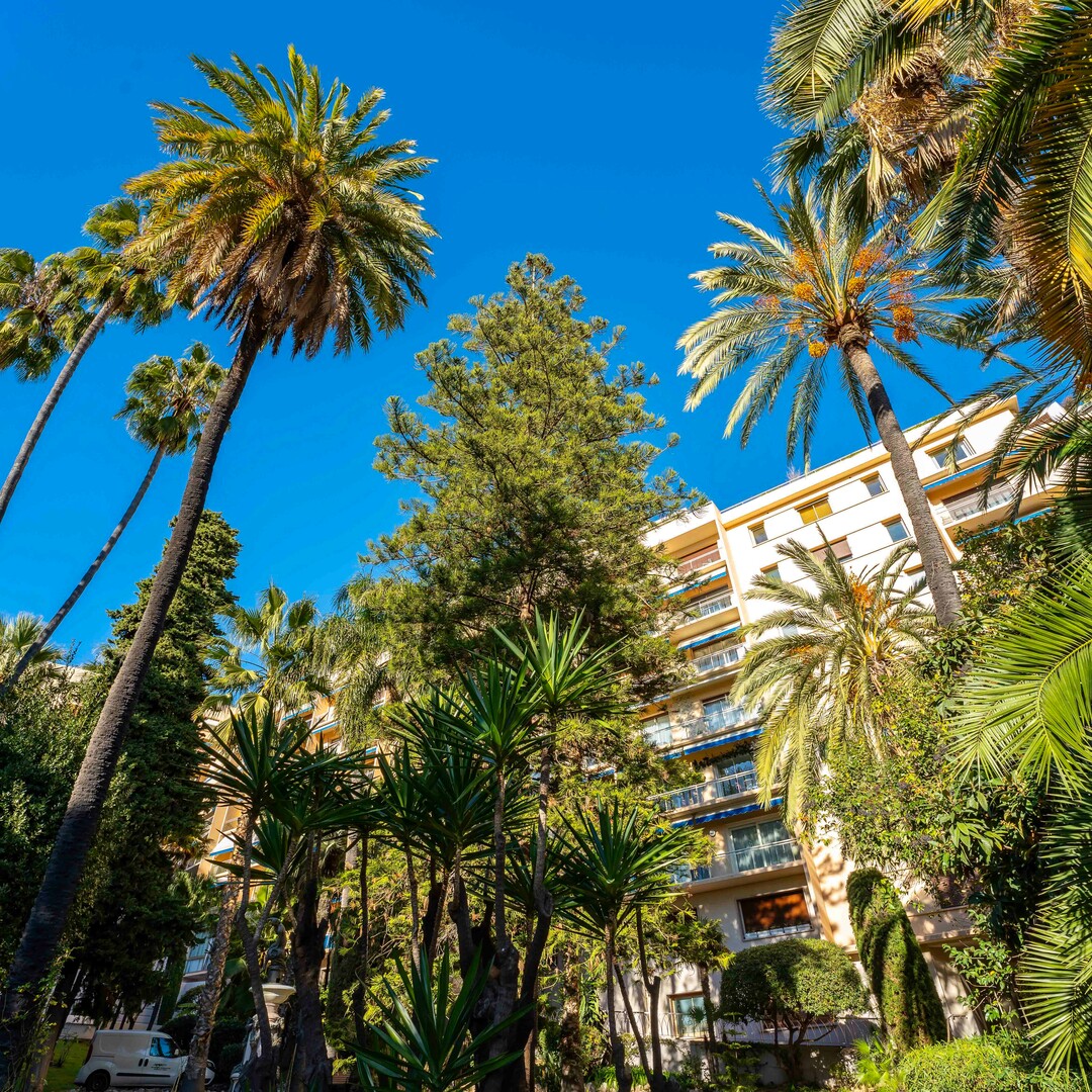 CENTRAL - 2 PIECES - LE ROQUEVILLE - Location d'appartements à Monaco