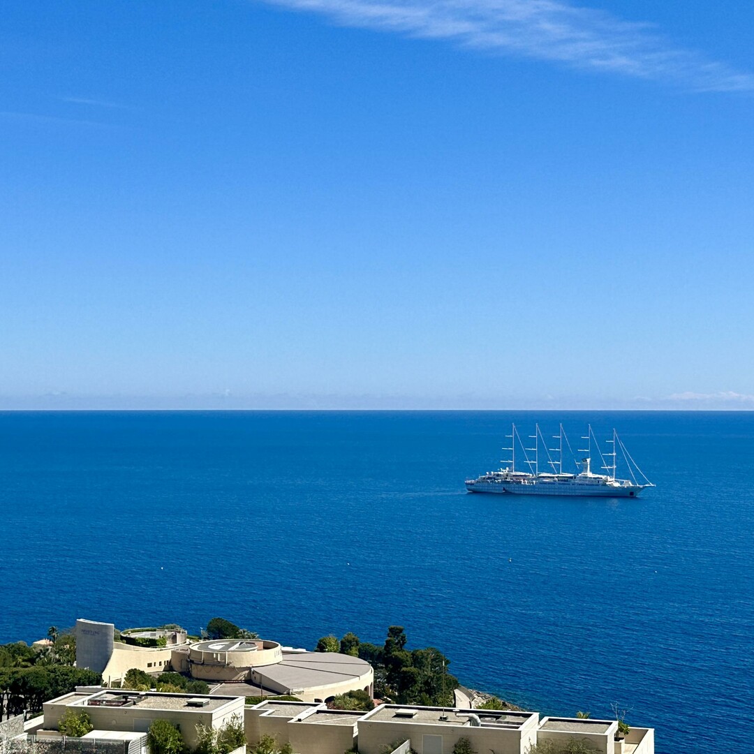Villa sur le toit avec piscine privative - 6 pièces - Location d'appartements à Monaco