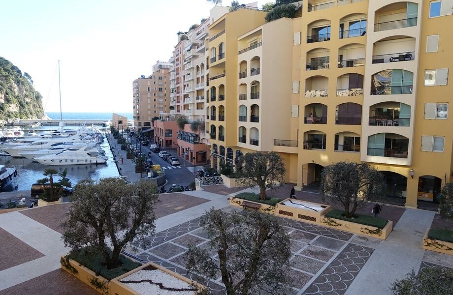APPARTEMENT DE 2 PIÈCES FONTVIEILLE - Location d'appartements à Monaco