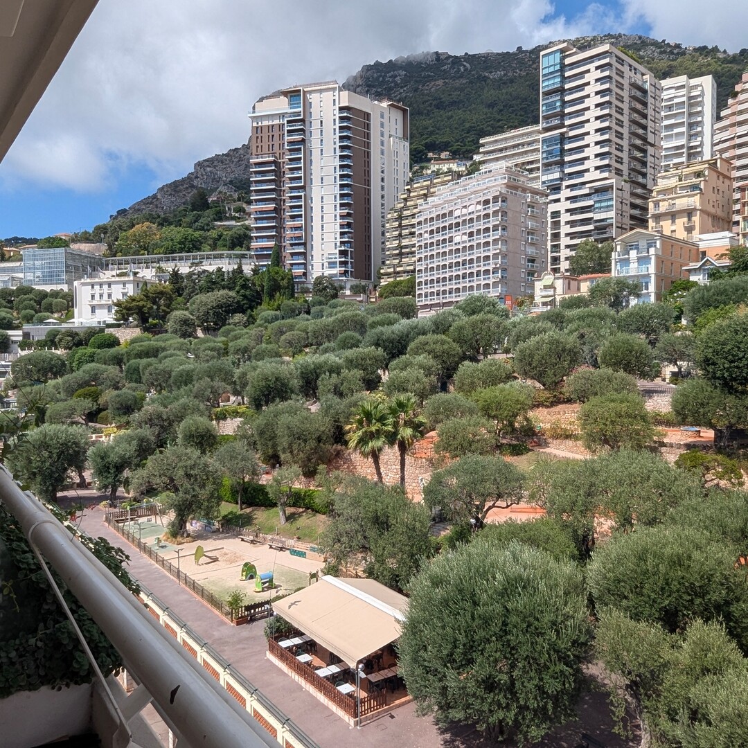 Magnifique studio avec alcove rénové - Location d'appartements à Monaco
