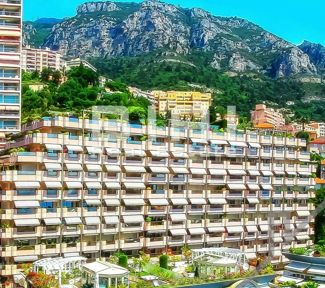 MAGNIFIQUE VILLA SUR LE TOIT - Location d'appartements à Monaco