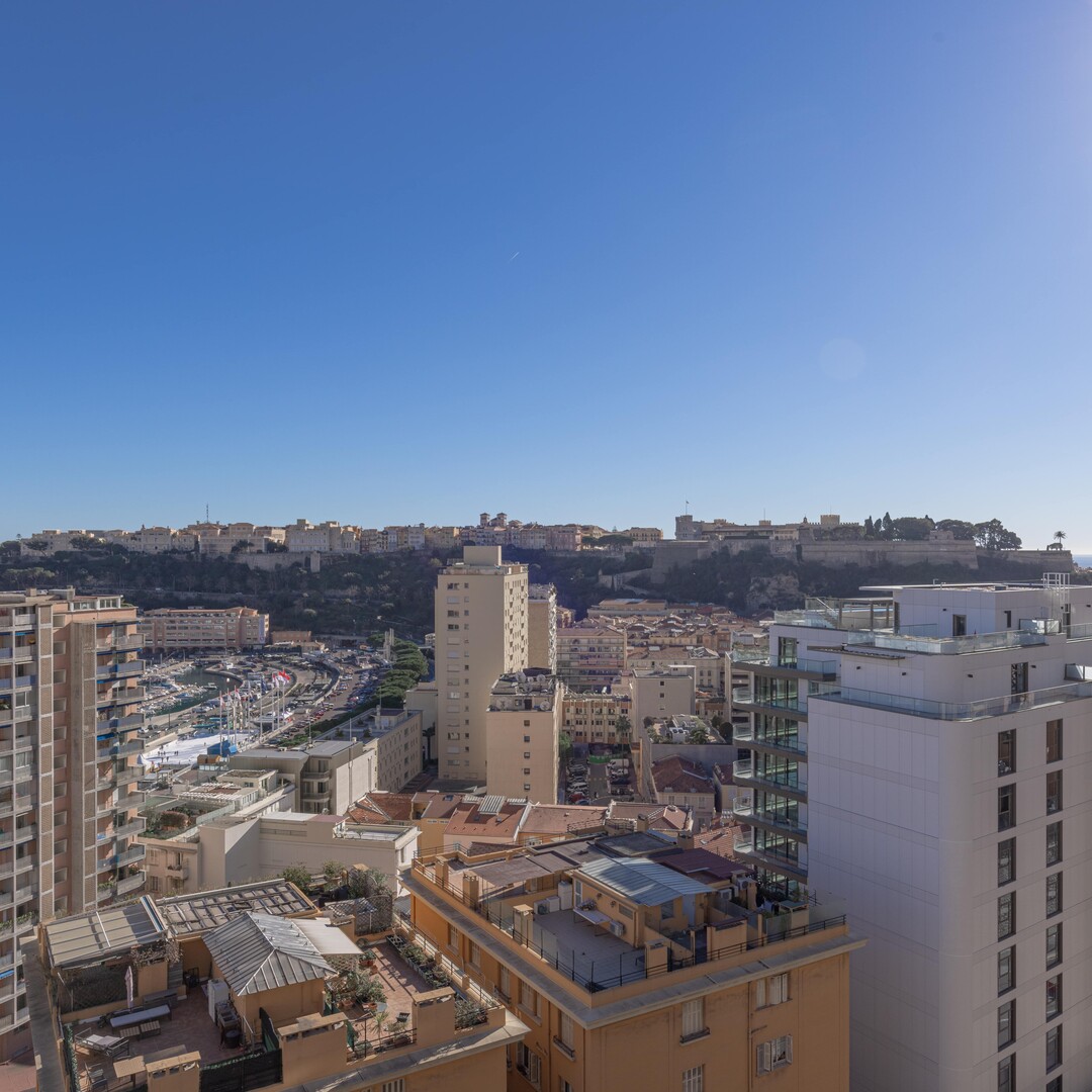 LUMINEUX 3/4 PIÈCES - Location d'appartements à Monaco