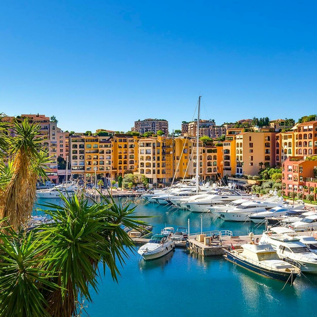 RARE GRANDE SURFACE A FONTVIEILLE - Location d'appartements à Monaco