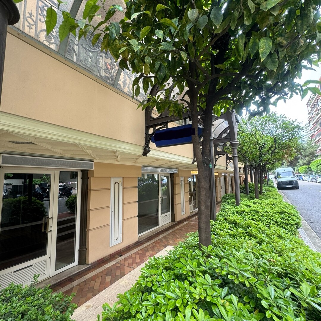 LOCAL EN PLEIN CARRÉ D’OR - Location d'appartements à Monaco