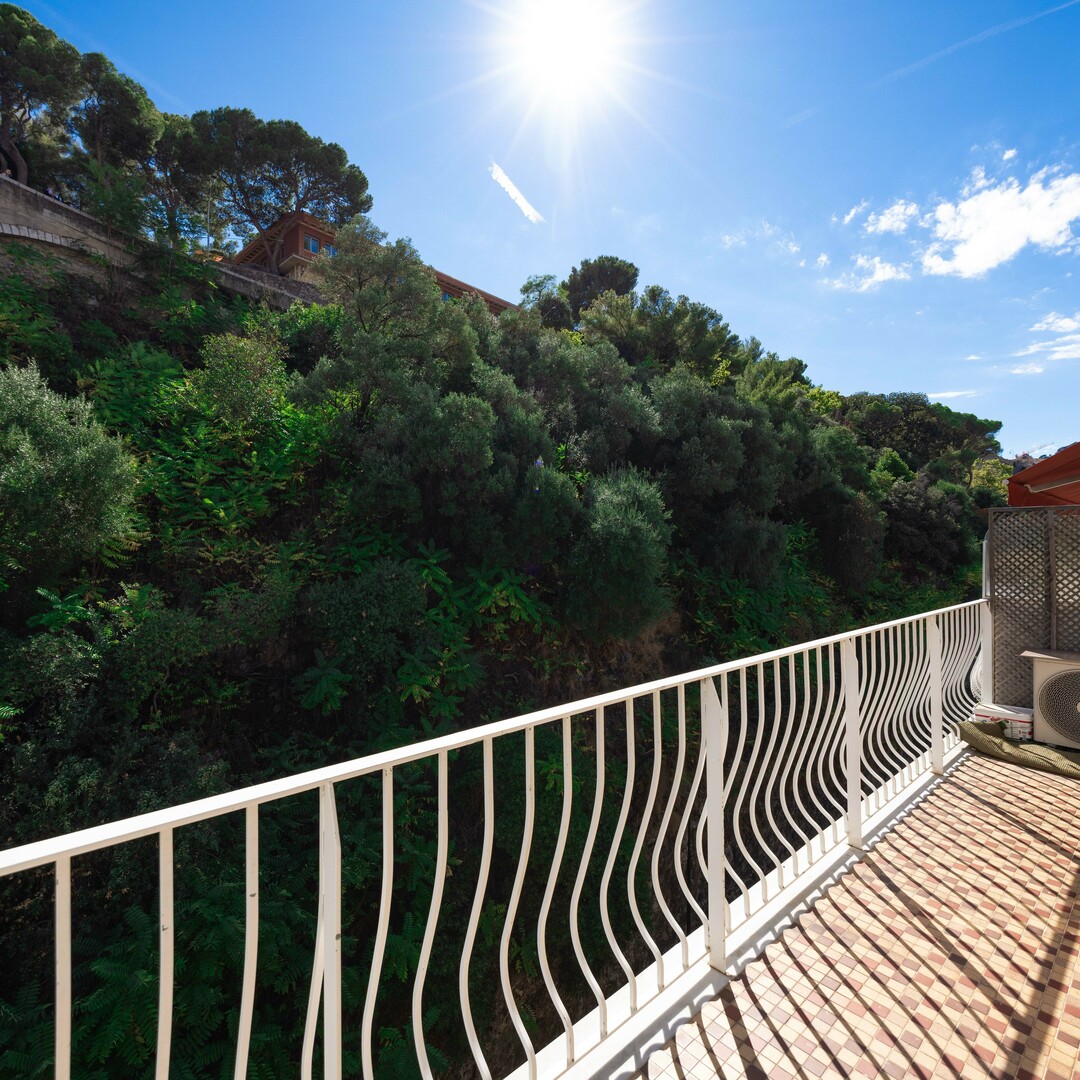 BEAU 3 PIECES CENTRAL - Location d'appartements à Monaco