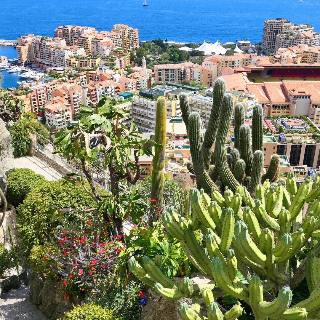 JARDIN EXOTIQUE - BEAU BUREAU - Location d'appartements à Monaco