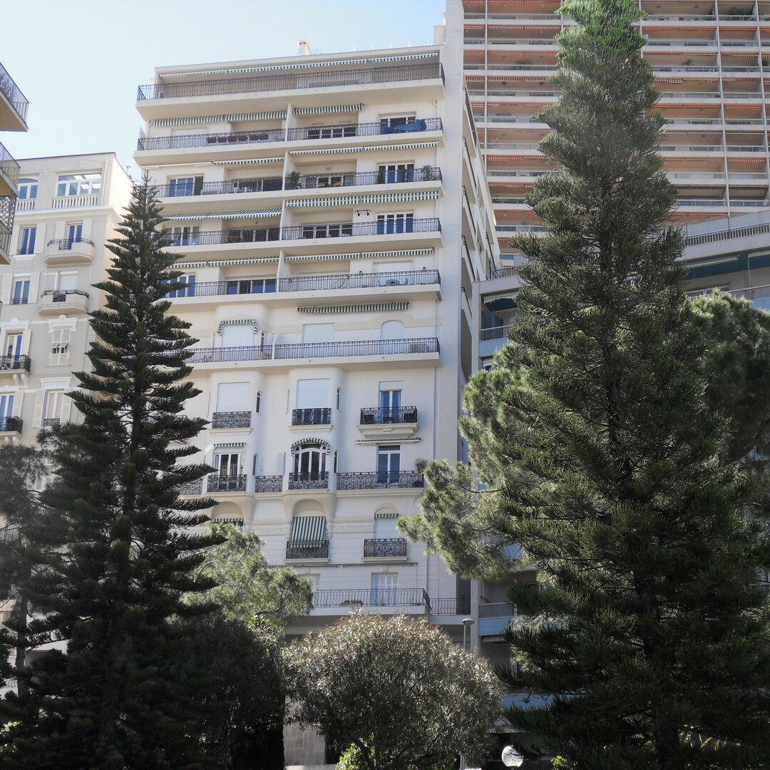 Le Palmier - Boulevard des Moulins