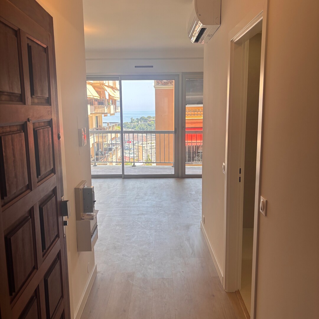 AGREABLE STUDIO ENTIEREMENT RENOVÉ / RESIDENCE LES ORANGERS