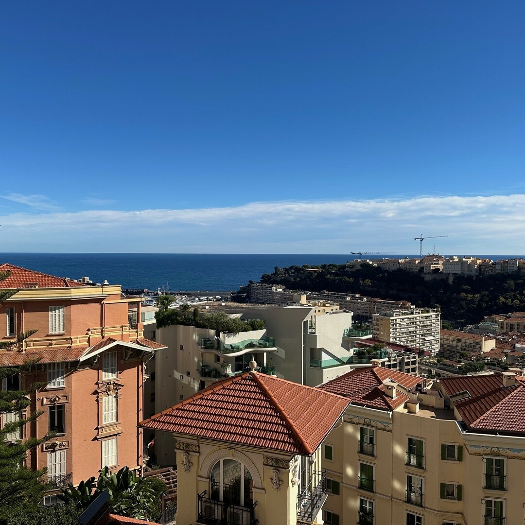 PALAIS BOSIO : BOURGEOIS - VUE PANORAMIQUE - RENOVE
