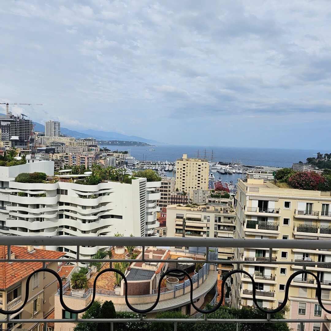 Bel appartement Condamine