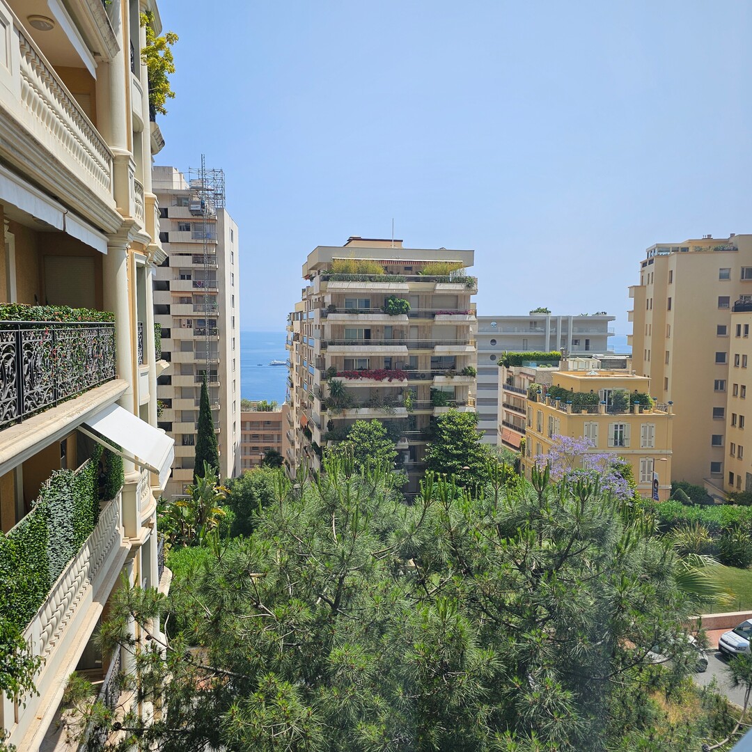 IDEAL PIED A TERRE