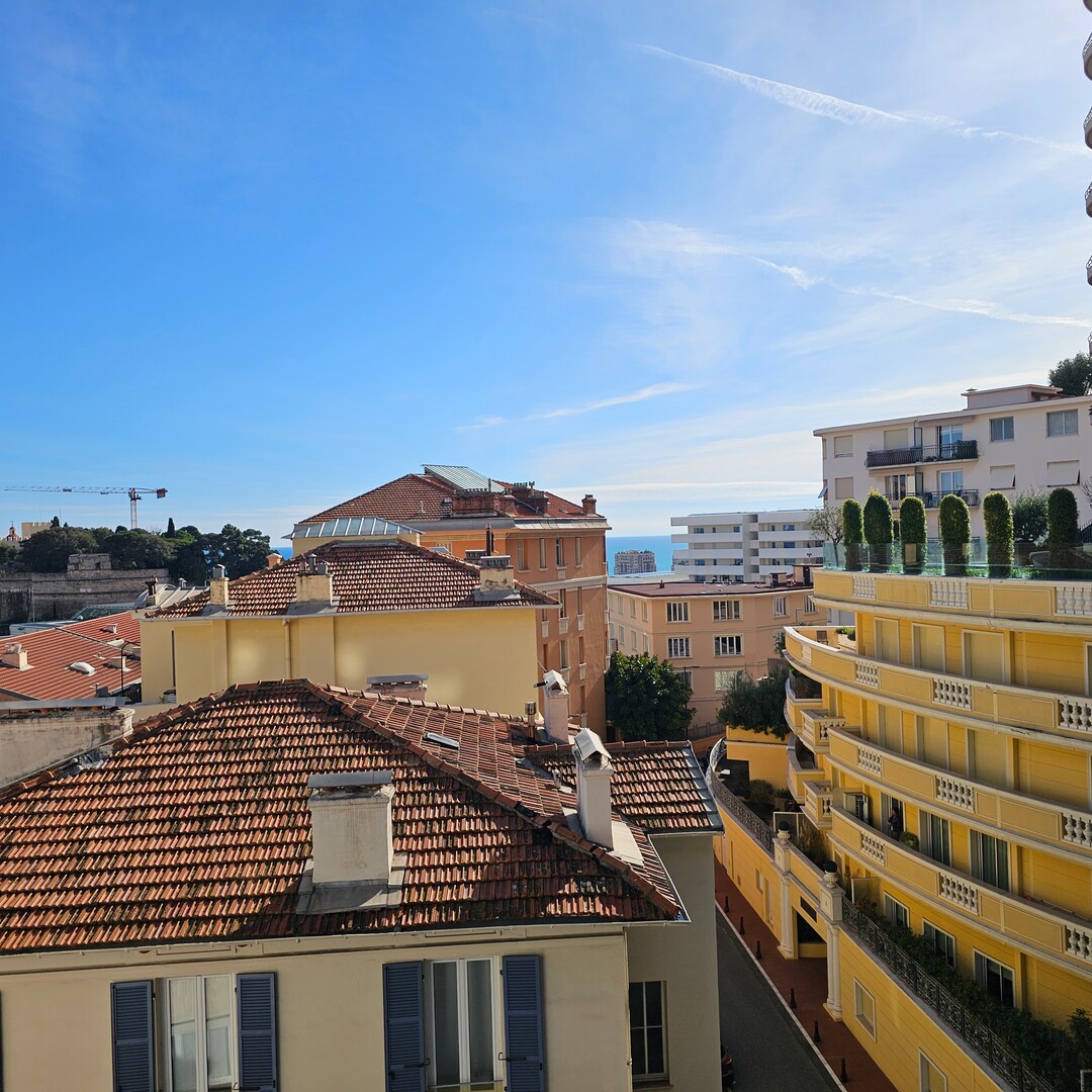 Bel appartement Condamine