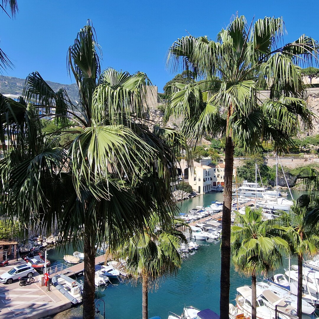 LOCATION  SAISONNIERE STUDIO FONTVIEILLE
