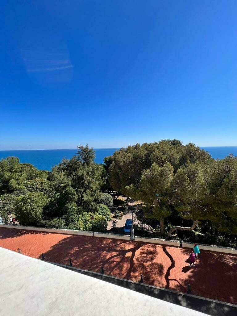 RARE DUPLEX VUE MER