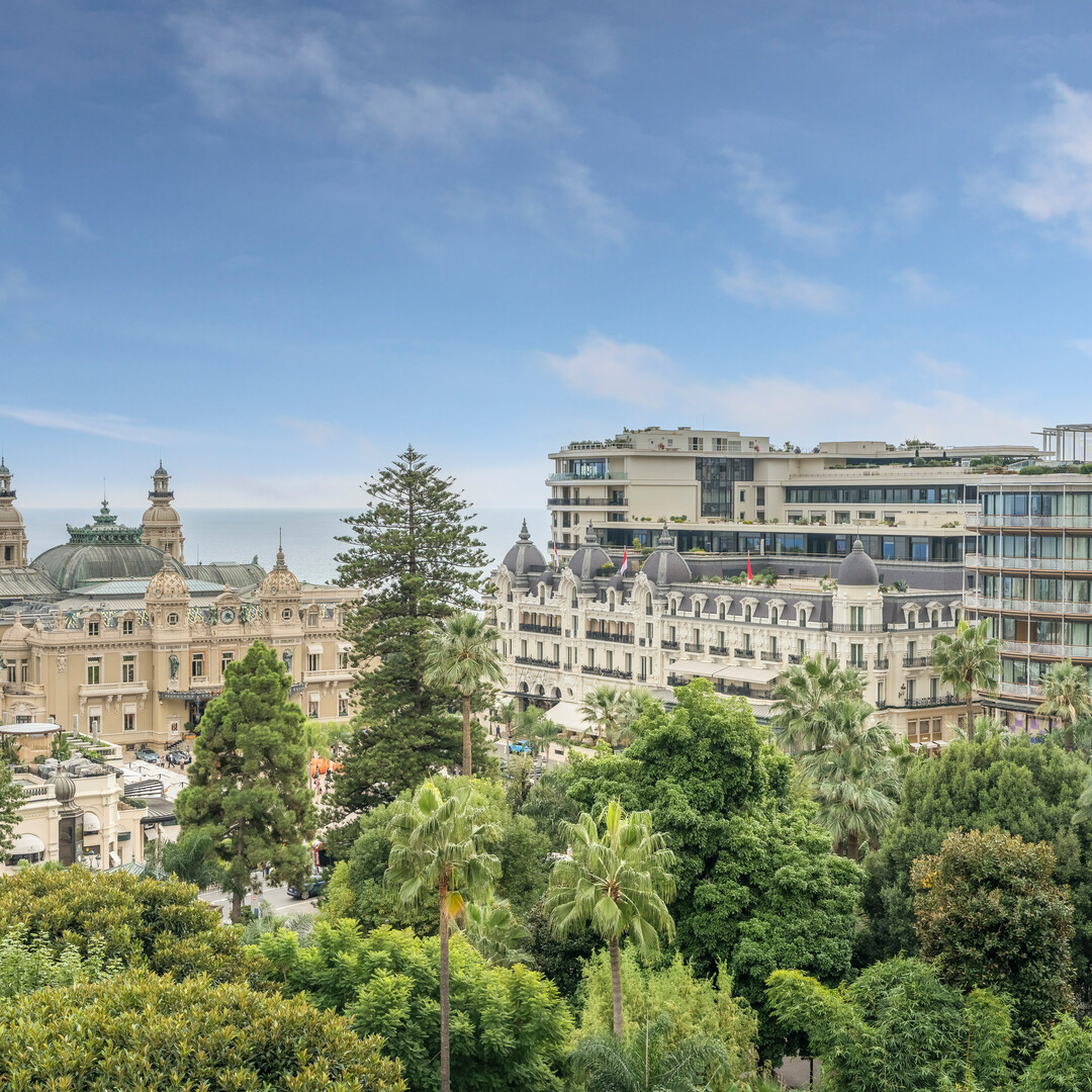 Carré d'Or - La Petite Afrique - 6 pièces - Location d'appartements à Monaco