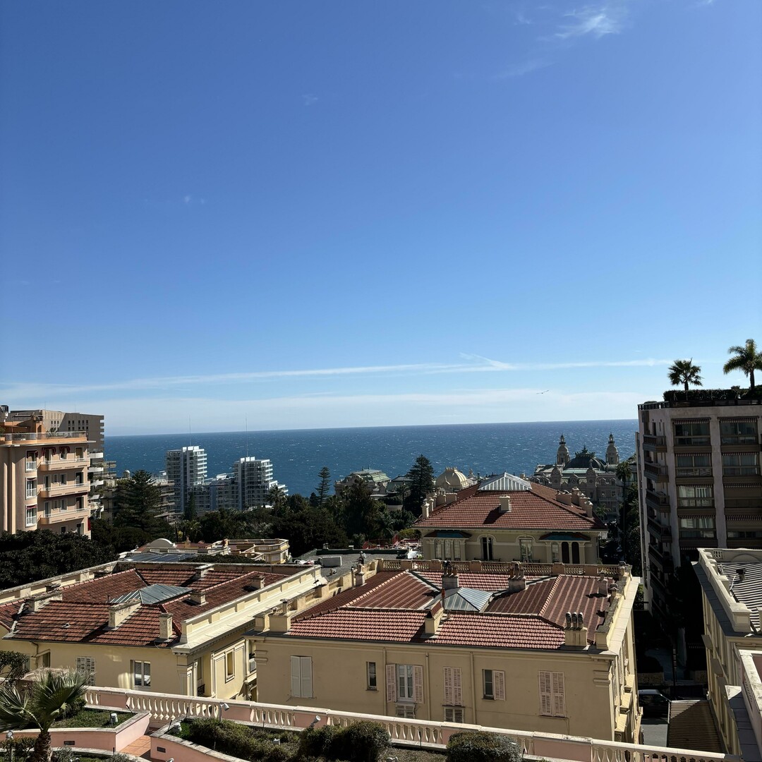Magnifique appartement au coeur du carré d'or - Location d'appartements à Monaco