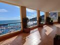 Superbe appartement d'exception roof avec piscine privative - Location d'appartements à Monaco