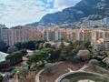 Le Rosa Maris - Avenue des Papalins - Location d'appartements à Monaco