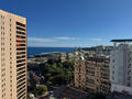 PRINCE DE GALLES  - Location d'appartements à Monaco