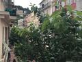 2 pièce rue Grimaldi - Location d'appartements à Monaco