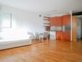 SAINT ROMAN / RÉSIDENCE AUTEUIL / 2 PIECES - Location d'appartements à Monaco