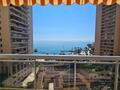 2 PIECES ENTIEREMENT RENOVE ET MEUBLE - Location d'appartements à Monaco