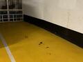 LARGE PARKING EN PLEIN COEUR DE MONTE-CARLO - Location d'appartements à Monaco