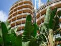 LUXUEUX DUPLEX CENTRAL - Location d'appartements à Monaco