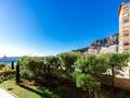 AGREABLE DEUX PIECES - Location d'appartements à Monaco